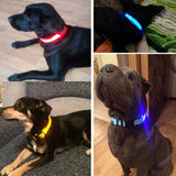 Buy 1 Get 1! - Safety Glowing Dog Collars and Leashes By Pet Lovers Club