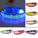 Safety Pet Collar With LED And Printed Design By I Love Dogs Society