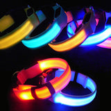 Safety Glowing Pet Collar With LED By Project Pet Lovers Club