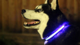 Buy 1 Get 1! - Safety Glowing Dog Collars and Leashes By Pet Lovers Club