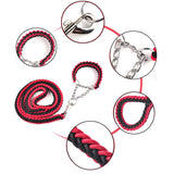 Big Dog Plaited Leash And Collar Set