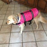 Adventure Vest For Dogs