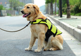 Adventure Life Vest - Standard Edition